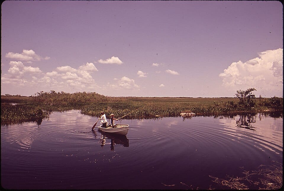 Tamiami Canal